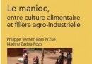 Le manioc, entre culture alimentaire et filière agro-industrielle Le manioc, entre culture alimentaire et filière agro-industrielle